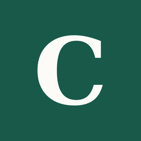CaseParity logo