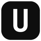 USDPAY logo