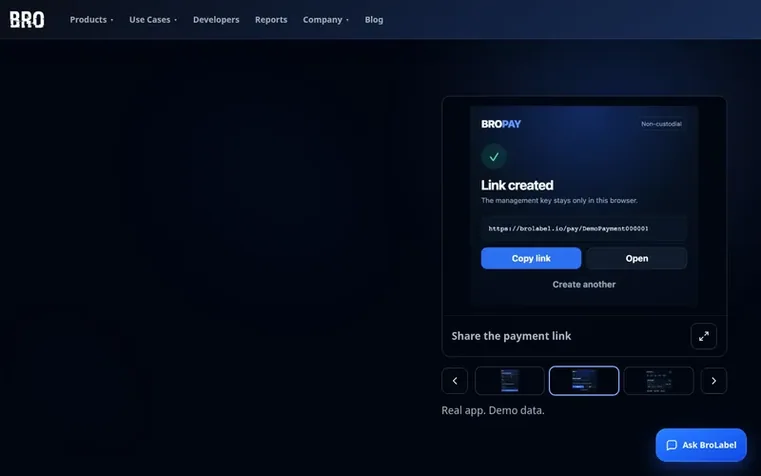 Screenshot of the BroPay homepage