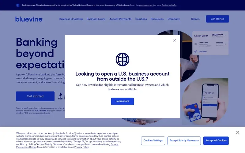 Screenshot of the Bluevine homepage