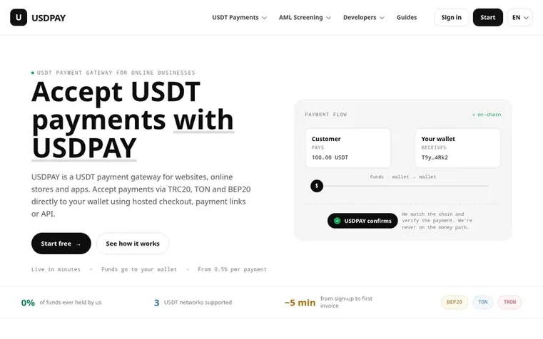 Screenshot of the USDPAY homepage