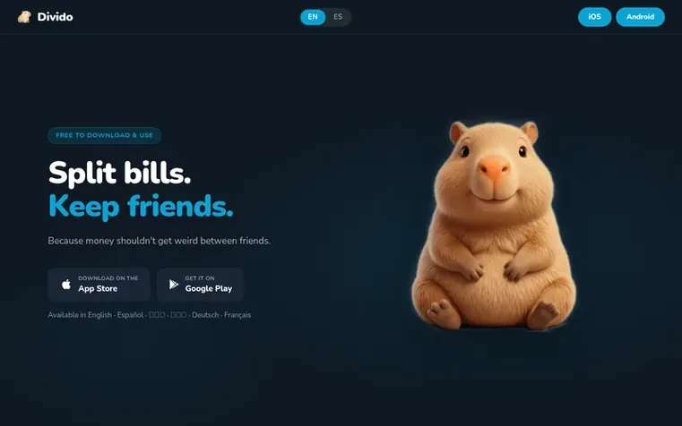 Screenshot of the Divido homepage